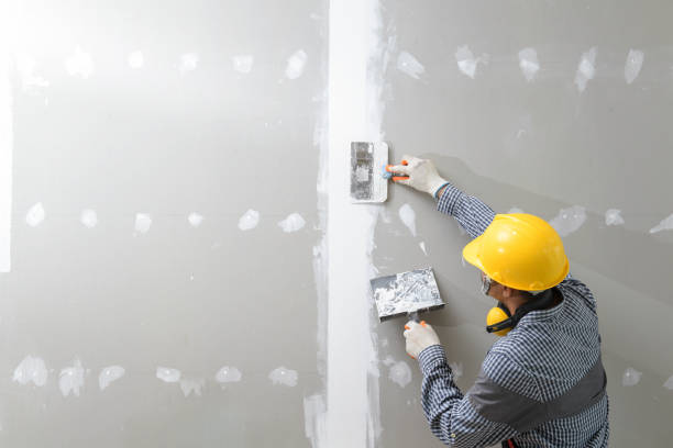 Best Forensic Mold Investigation  in Montgomery, PA
