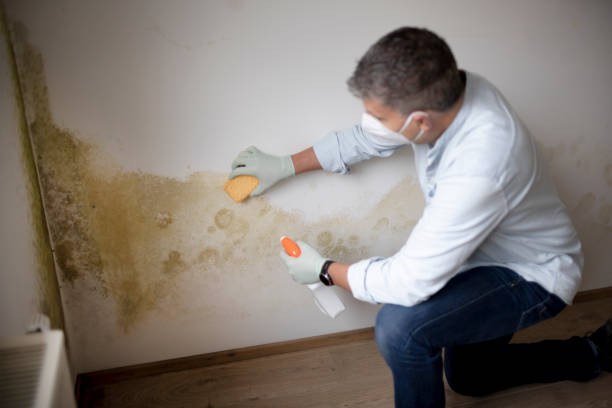 Best Airborne Mold Testing  in Montgomery, PA