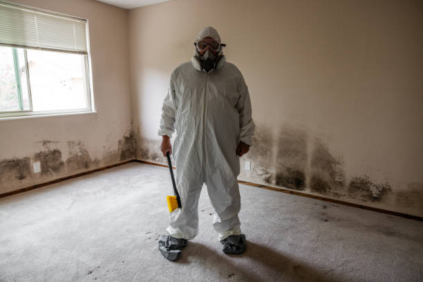 Best Residential Mold Inspection & Testing  in Montgomery, PA